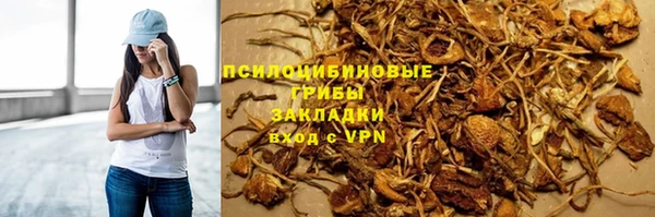мяу мяу мука Абдулино