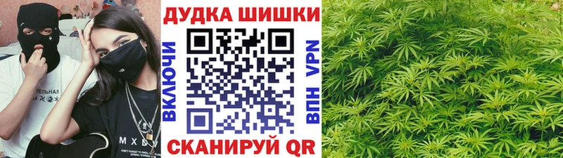 mega рабочий сайт  Калининград  МАРИХУАНА SATIVA & INDICA 